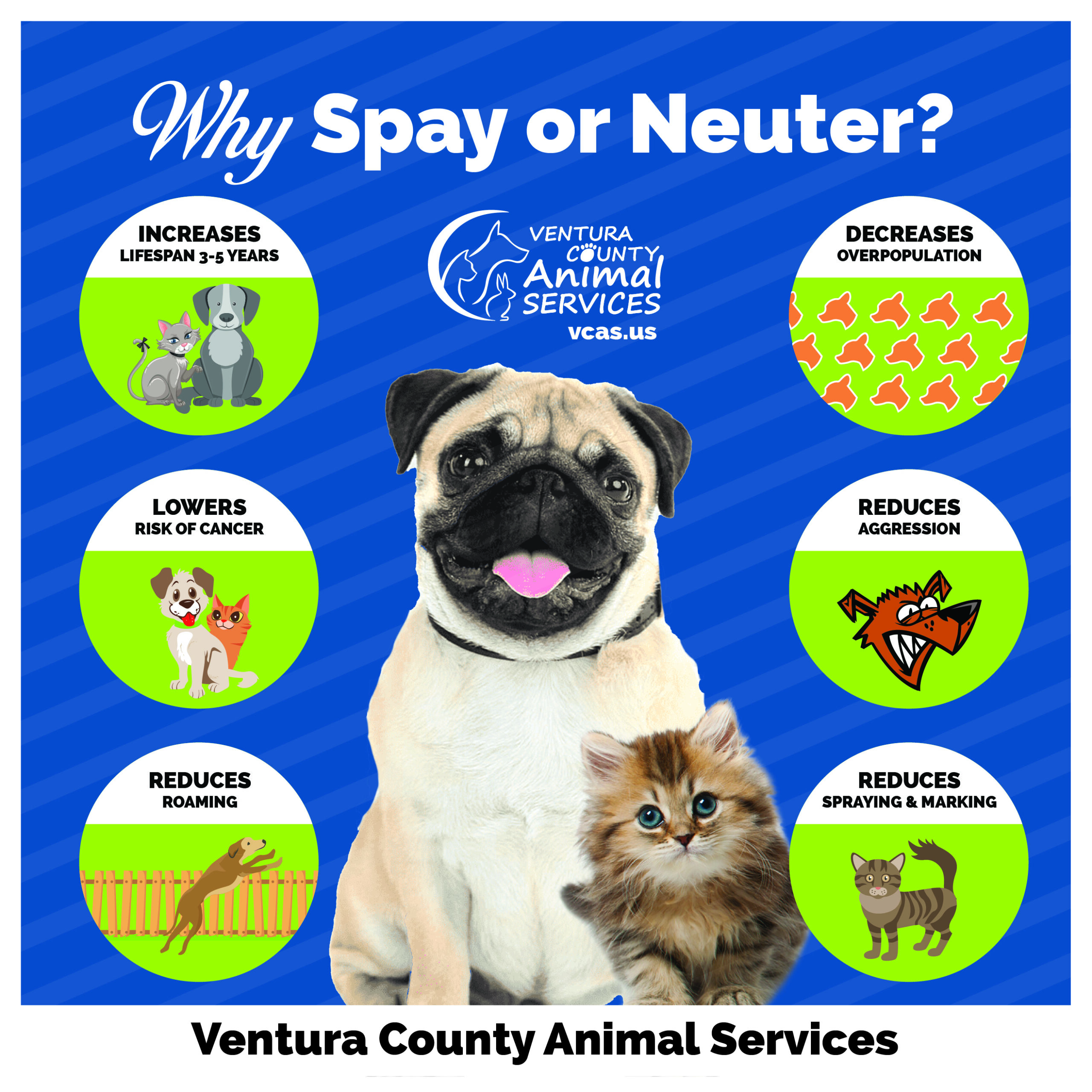 Spay and Neuter Ventura County Animal Services