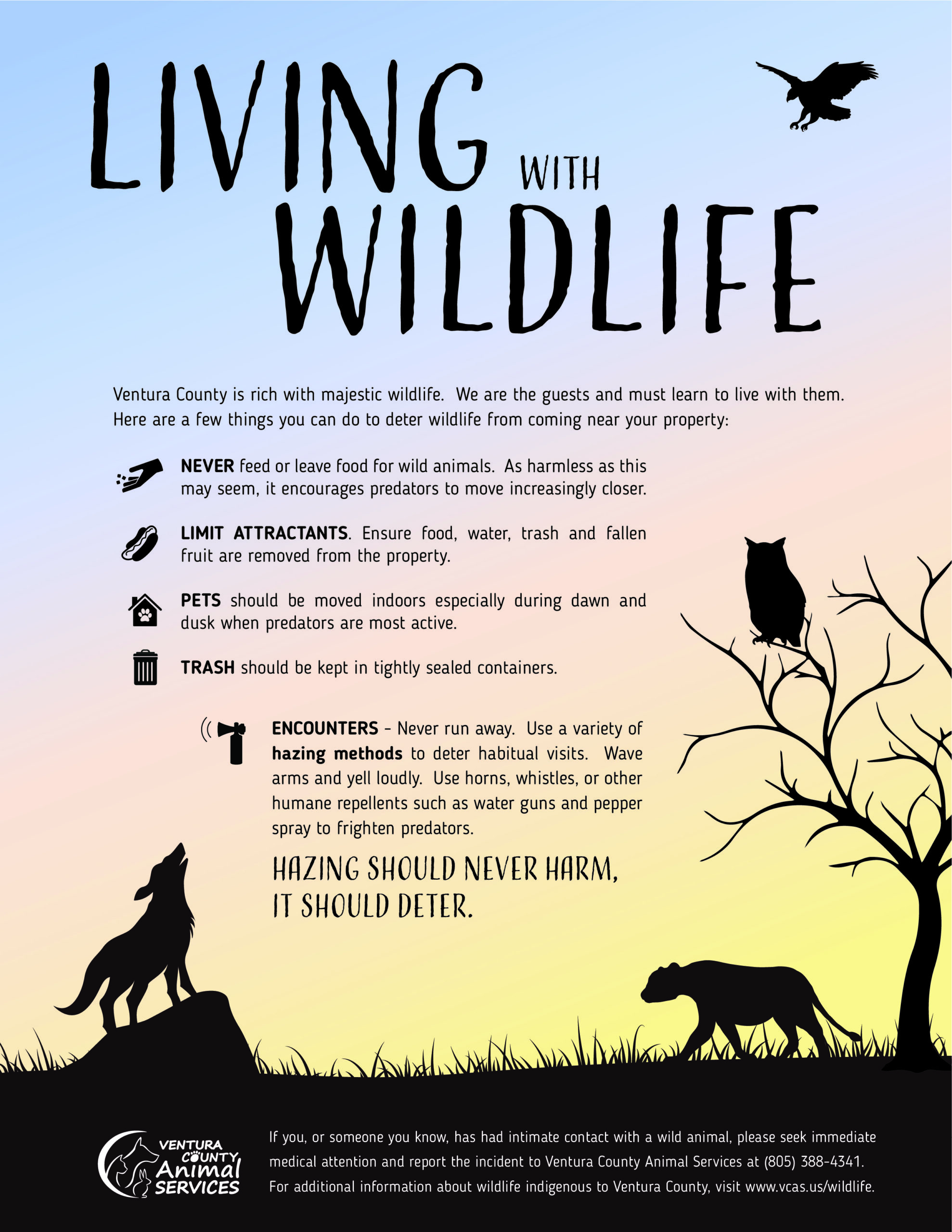 Wildlife – Ventura County Animal Services