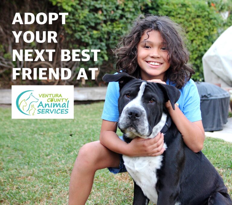 ADOPTION PROCESS - Ventura County Animal Services