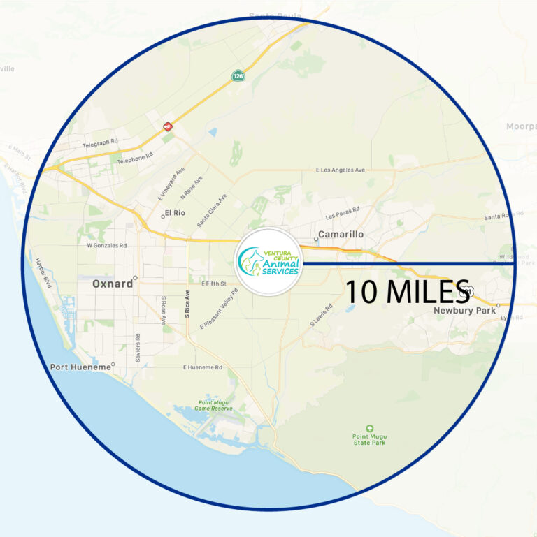DoorDash Map (10-mile)